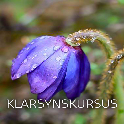 Klarsynskursus